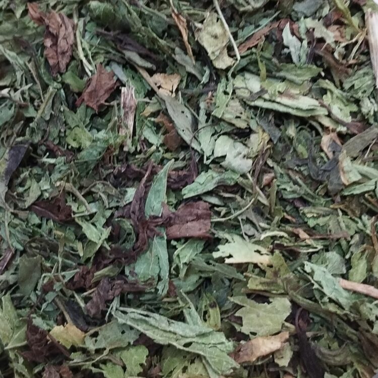 STEVIA